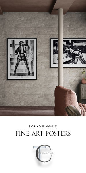 Fine art posters for your walls